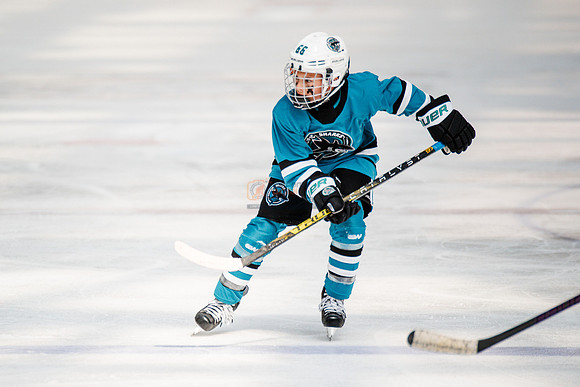 Sharks-may3-0208