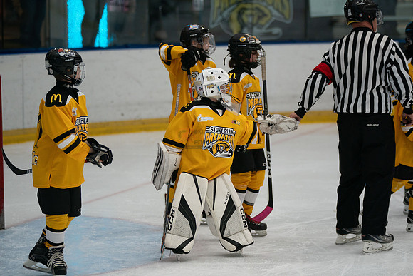 PRedators-yellow-23