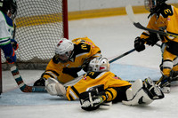 PRedators-yellow-20