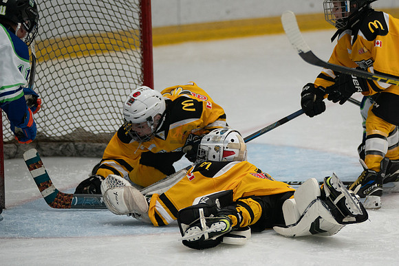 PRedators-yellow-20