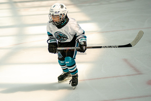 sharks-may2-0272
