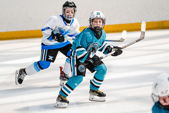 Sharks-may3-0400