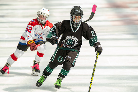 Husky-prospects-0161