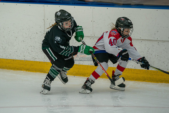 Husky-prospects-0114