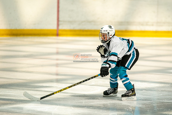 sharks-may2-0133