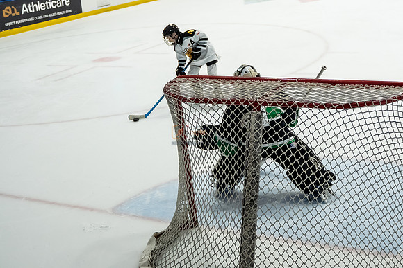 stplpreds-2-20