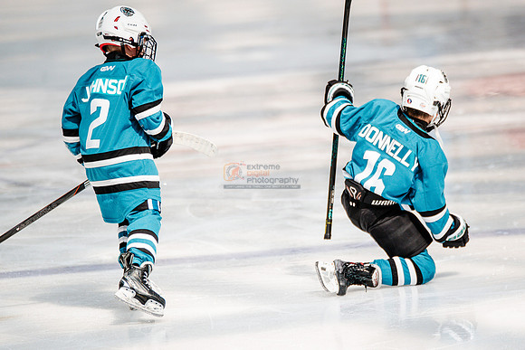 Sharks-may3-0186