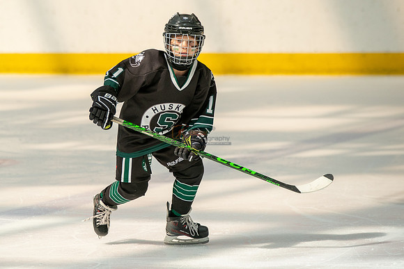 Husky-prospects-0253