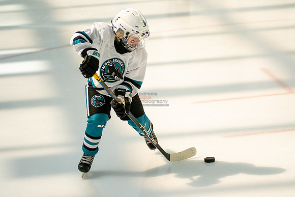 sharks-may2-0008
