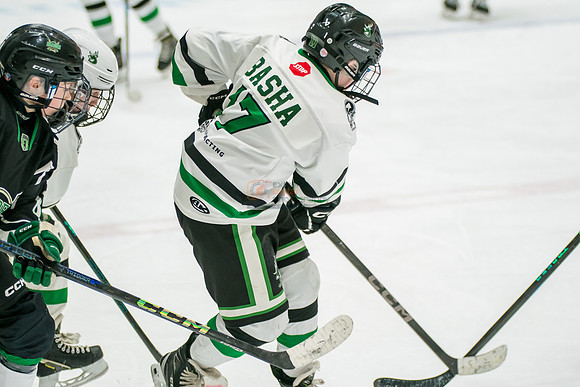 allstar-feb7-Basha-2-11