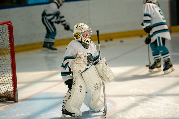 sharks-may2-0030