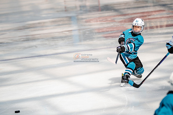 Sharks-may3-0224