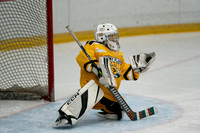 PRedators-yellow-18