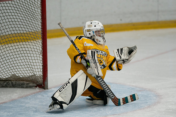 PRedators-yellow-18