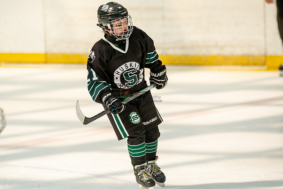 Husky-prospects-0333