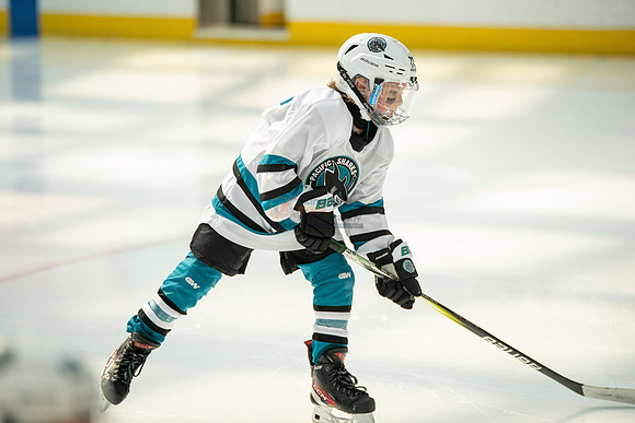 sharks--may1-0032