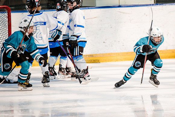 Sharks-may3-0131