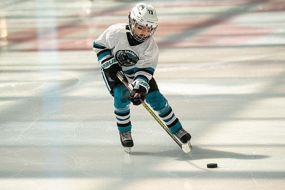 sharks-may2-0035