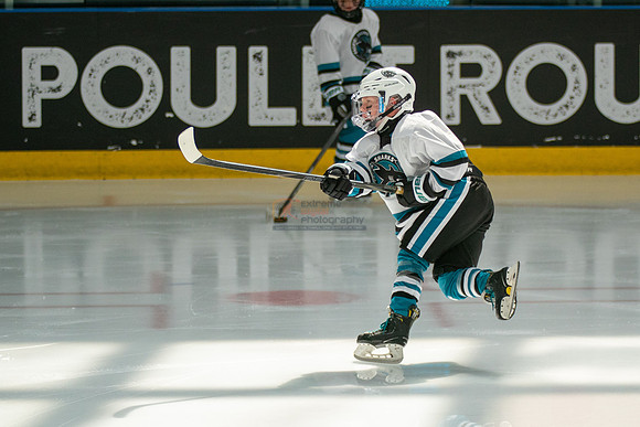 sharks-may2-0017