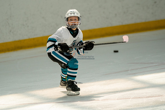 sharks-may2-0304
