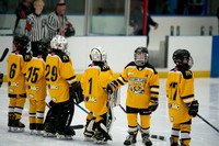 PRedators-yellow-11