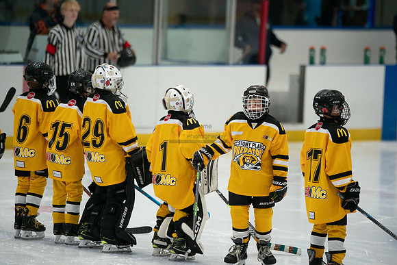 PRedators-yellow-11
