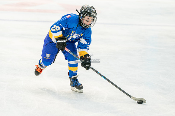 Bisons-2-26