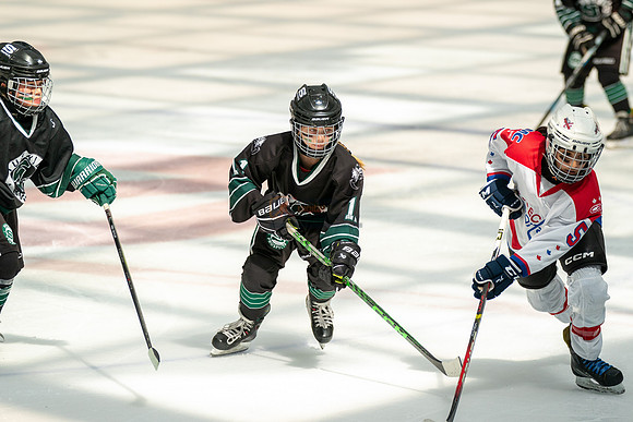 Husky-prospects-0281