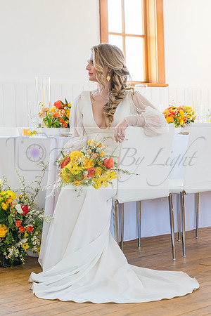 Edmonton-Intimate-Wedding-photography-2-3