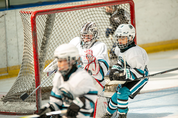 sharks-may2-0219
