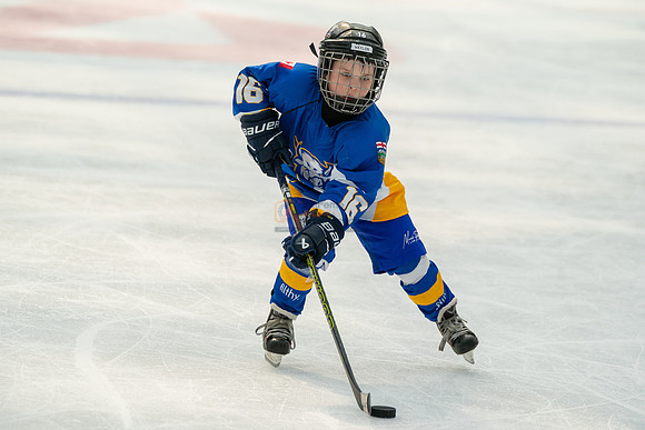 Bisons-2-6