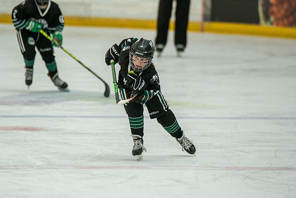 Husky-prospects-0293