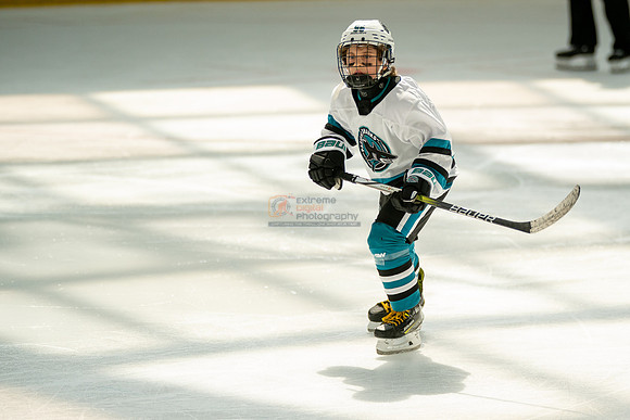sharks-may2-0427