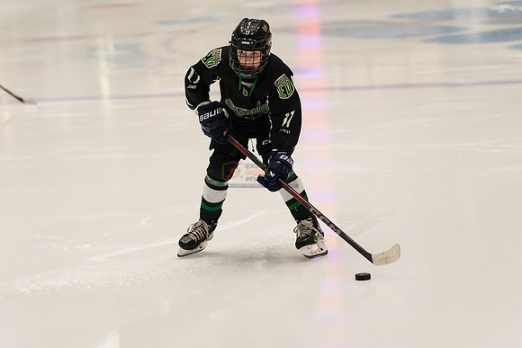 allstar-feb7-PRYHITKO-8660