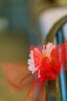 Ron-Tracy-wedding-0064