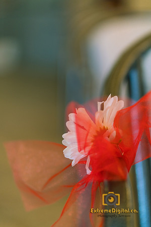 Ron-Tracy-wedding-0064