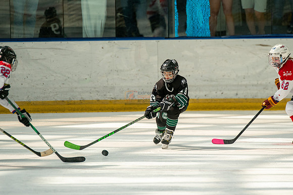 Husky-prospects-0311
