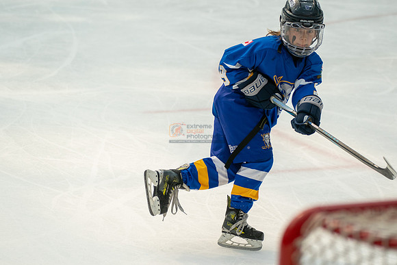 Bisons-2-5