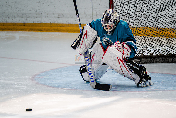 Sharks-may3-0056
