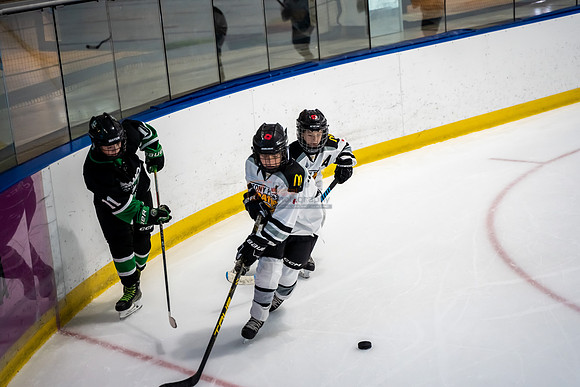 stplpreds-2-14