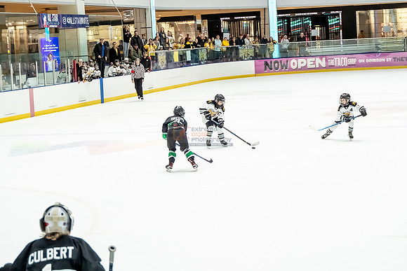 stplpreds-2-16