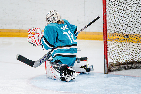 Sharks-may3-0072
