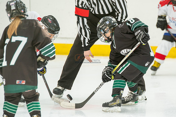 Husky-prospects-2-18