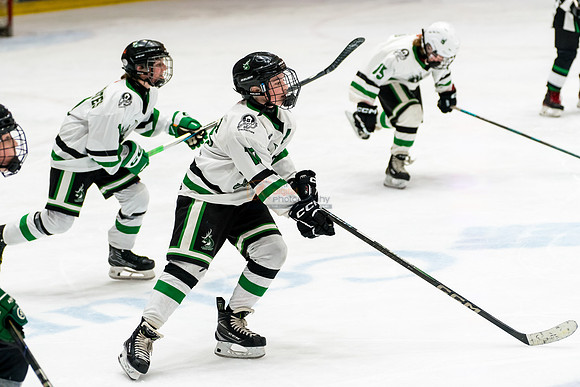 allstar-feb7-Basha-8845