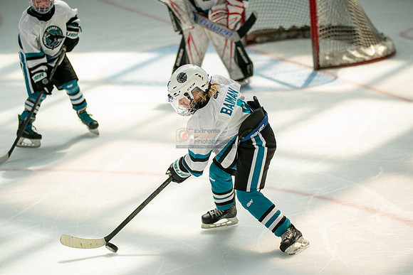 sharks-may2-0289