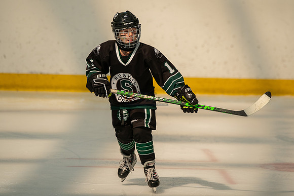 Husky-prospects-0243