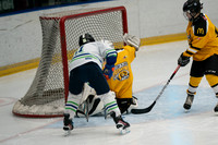 PRedators-yellow-13