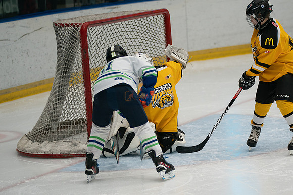 PRedators-yellow-13