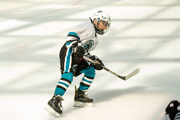 sharks-may2-0221