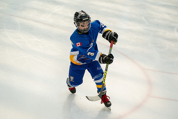Bisons-2-20